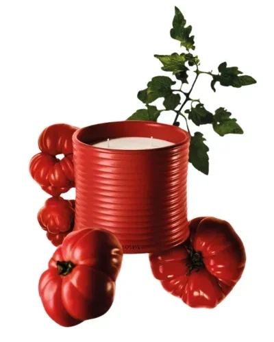 loewe perfumes Vibeofbeauty