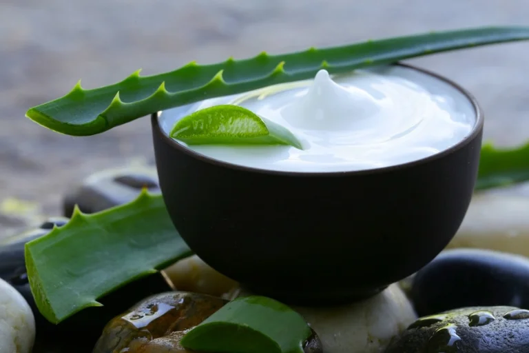 El aloe vera es uno de los mejores ingredientes para conseguir rehidratar bien la piel tras el verano.