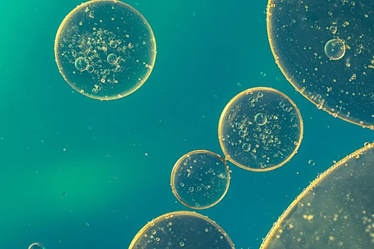 La longevidad en la belleza se basa en la regeneración de las células a través de ingredientes que provienen de la naturaleza.