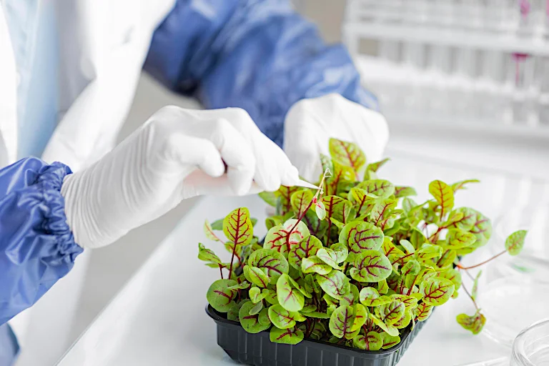 De las plantas y flores se aprende para crear cosméticos que las imitan y forman parte de la nueva belleza inteligente.