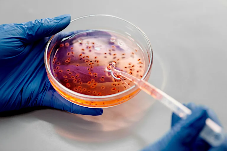 La kombucha y el kéfir son dos ingredientes naturales que la ciencia puede aprovechar para crear productos de cosmética.